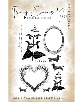 Tracy Evans Framed Delights A5 Clear Stamp (TE058)
