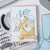 Sizzix 49 & Market Clear Stamps with Framelits Tag It (667064)
