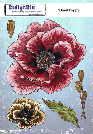 IndigoBlu Giant Poppy A5 Rubber Stamp (IND1490)