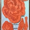 IndigoBlu Giant Poppy A5 Rubber Stamp (IND1490)