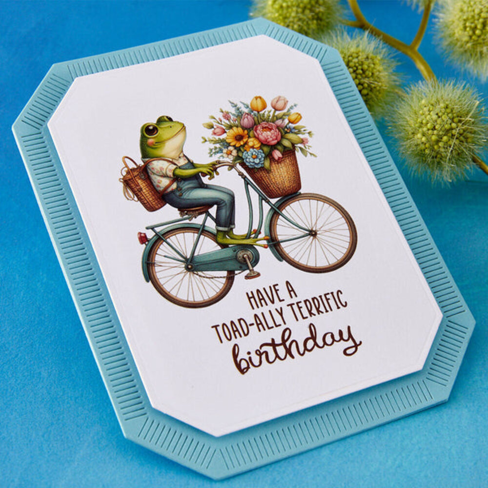 Spellbinders Rub-On Sheets Little Leaps (SCSR-007)