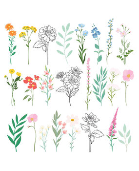 Spellbinders PRE-ORDER Breakfast in Bed Die Cut Floral Stickers (169218)