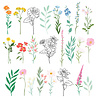 Spellbinders PRE-ORDER Breakfast in Bed Die Cut Floral Stickers (169218)