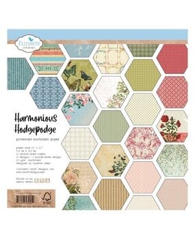 Elizabeth Craft Designs Harmonious Hodgepodge 12x12 Inch Patterned Cardstock (C024)