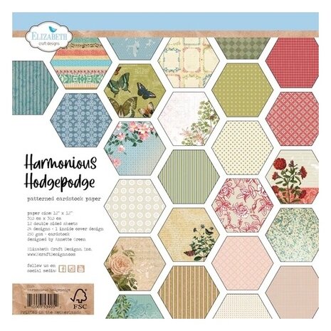 Elizabeth Craft Designs Harmonious Hodgepodge 12x12 Inch Patterned Cardstock (C024)