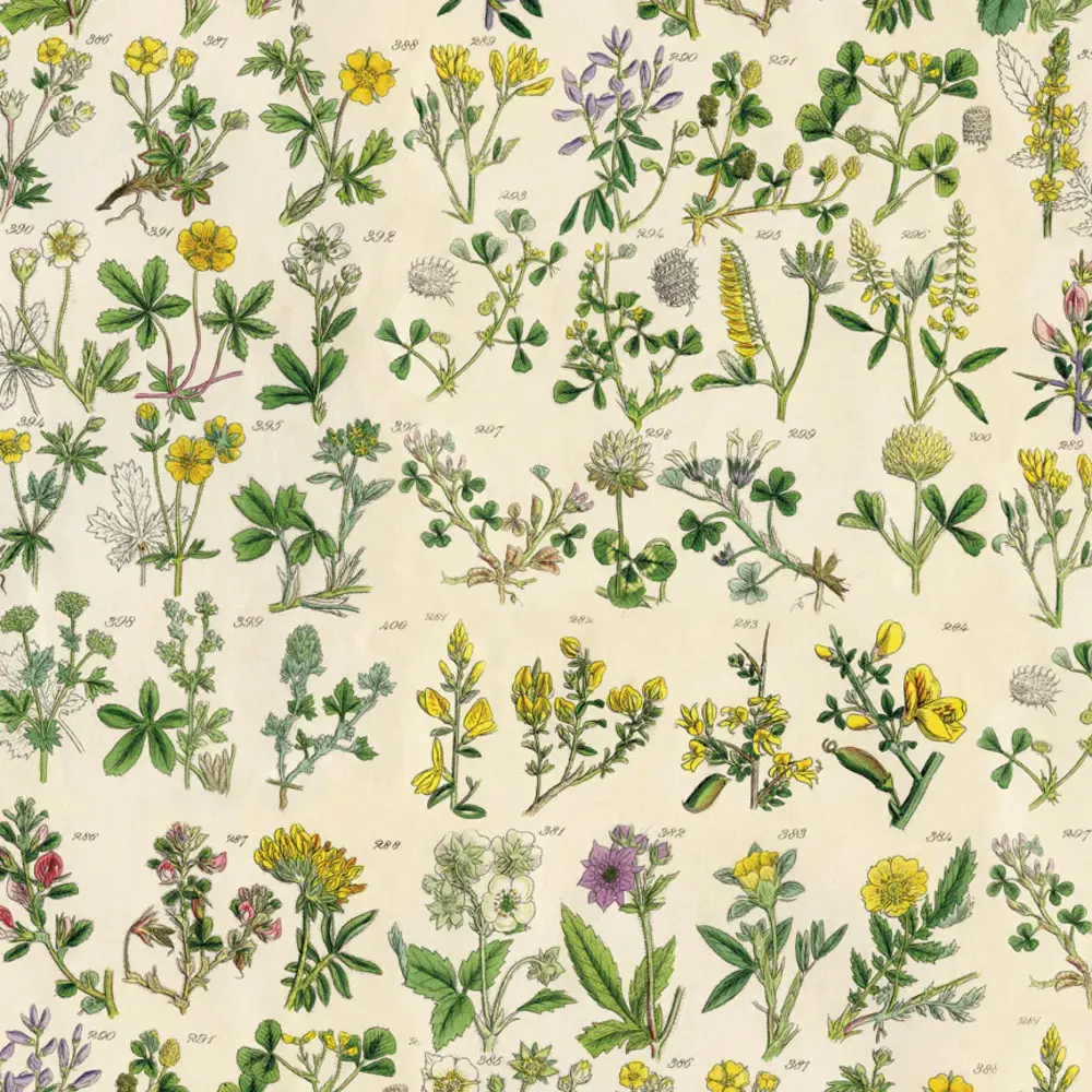 Idea-ology PRE-ORDER Tim Holtz Palette Collection 8x8 Inch Yellow (TH94472)