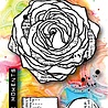 Visible Image Rose Moments A6 Stamp Set (VIS-ROM-01)