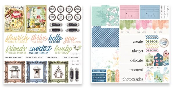 Arden Creative Studio Field Notes Ephemera Pack (ACSEP0010)