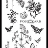 Arden Creative Studio Field Notes Meadow 4x8 Inch Clear Stamp Set (ACSCS0021)