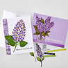 Hero Arts Spring Meadow Clear Stamp Set No One Lilac You (CM842)