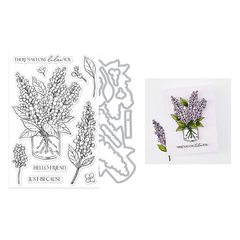 Hero Arts Spring Meadow Stamps & Dies No One Lilac You (DC344)