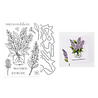 Hero Arts Spring Meadow Stamps & Dies No One Lilac You (DC344)