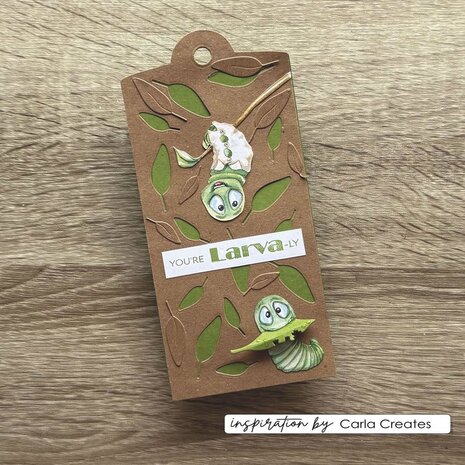 Vaessen Creative Clear Stamps Butterfly (CAR0305)