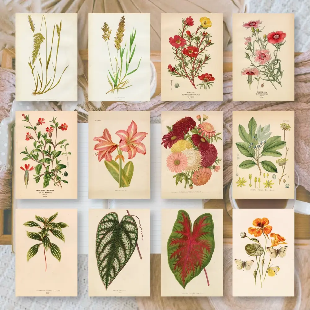 Plan & Plot Studio Botanicals 1 Ephemera Paper (7,4x10,5 cm) (EP-A7-002)