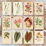 Plan & Plot Studio Botanicals 1 Ephemera Paper (7,4x10,5 cm) (EP-A7-002)