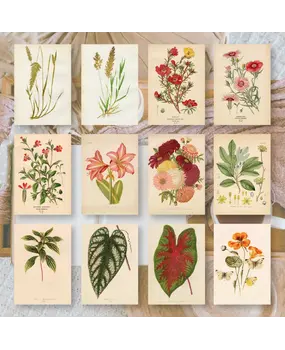 Plan & Plot Studio Botanicals 1 Ephemera Paper (7,4x10,5 cm) (EP-A7-002)