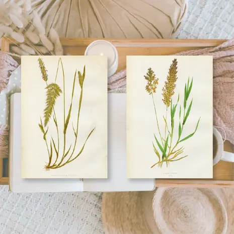 Plan & Plot Studio Botanicals 1 Ephemera Paper (7,4x10,5 cm) (EP-A7-002)