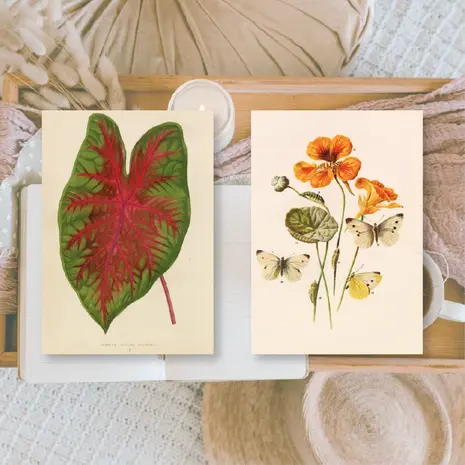 Plan & Plot Studio Botanicals 1 Ephemera Paper (7,4x10,5 cm) (EP-A7-002)