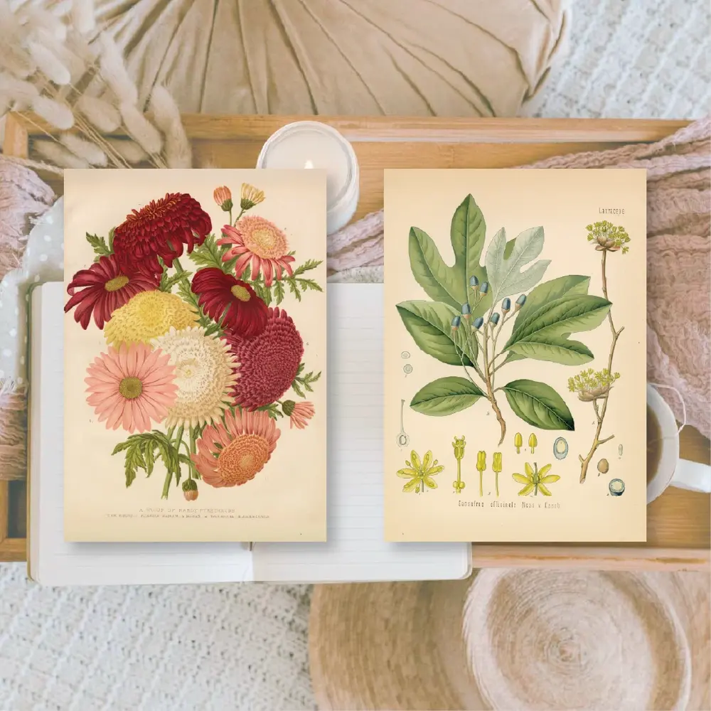 Plan & Plot Studio Botanicals 1 Ephemera Paper (7,4x10,5 cm) (EP-A7-002)