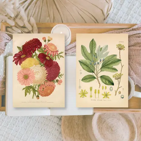 Plan & Plot Studio Botanicals 1 Ephemera Paper (7,4x10,5 cm) (EP-A7-002)