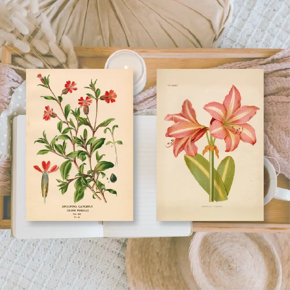 Plan & Plot Studio Botanicals 1 Ephemera Paper (7,4x10,5 cm) (EP-A7-002)