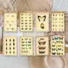 Plan & Plot Studio Vintage Insects Ephemera Paper (7,4x10,5 cm) (SP-A7-003)