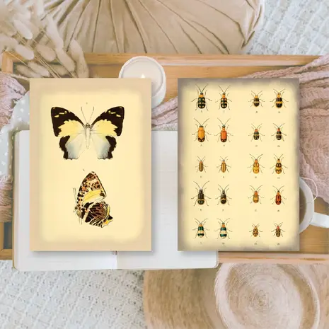 Plan & Plot Studio Vintage Insects Ephemera Paper (7,4x10,5 cm) (SP-A7-003)