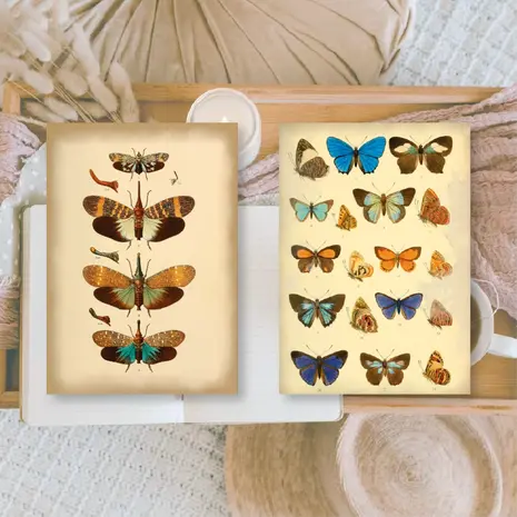 Plan & Plot Studio Vintage Insects Ephemera Paper (7,4x10,5 cm) (SP-A7-003)