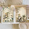 Plan & Plot Studio Whimsy Woodland Ephemera Paper (7,4x10,5 cm) (SP-A7-004)