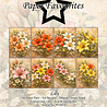 Paper Favourites Lily A6 Paper Pad (PFA614)