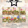 Paper Favourites Orchidea A6 Paper Pad (PFA615)