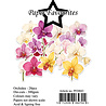 Paper Favourites Die-Cuts Orchidea (PFD043)