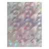 Spellbinders Specialty Cardstock 8.5x11 Inch Holographic (SCSP-027)