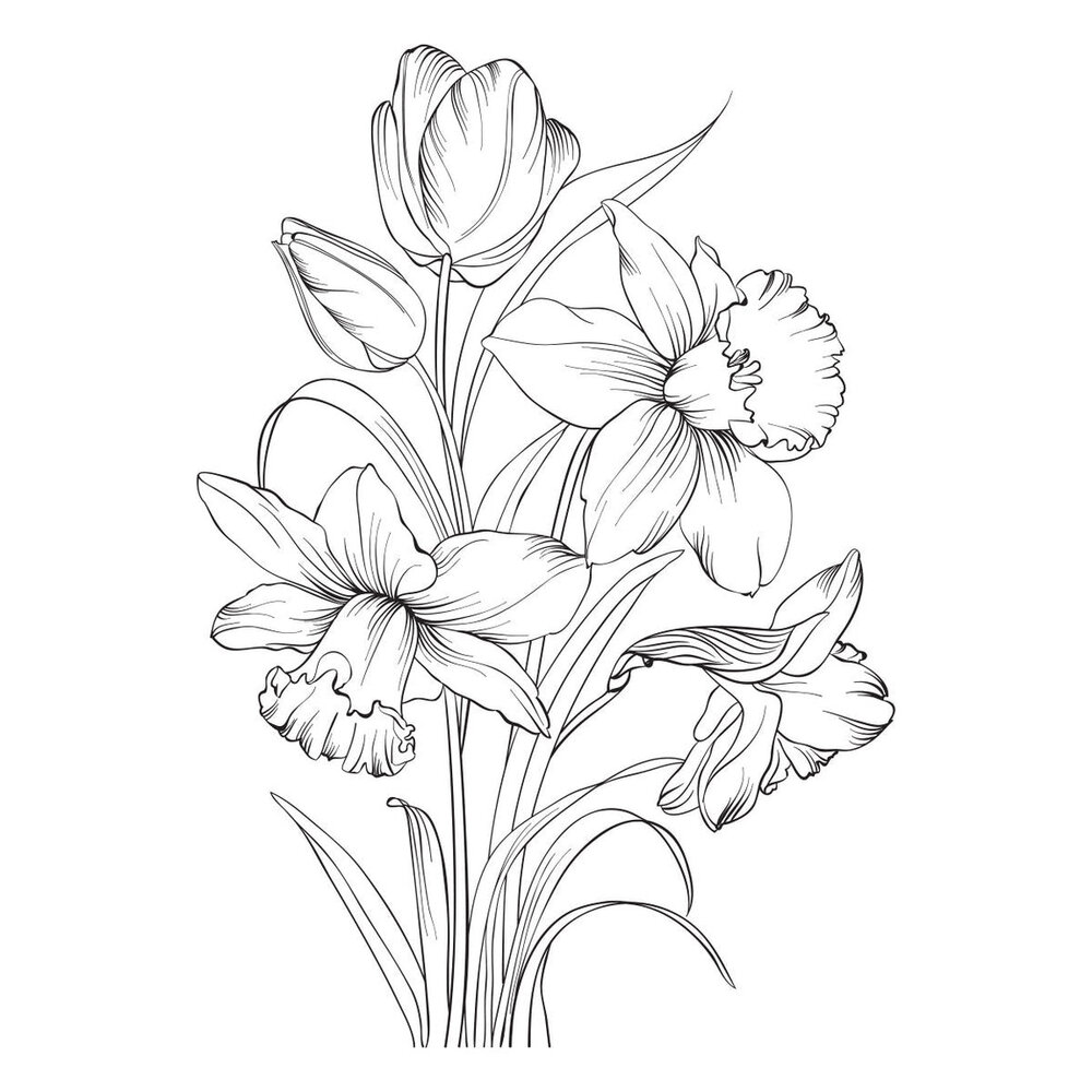 Spellbinders PRE-ORDER Yana's Tulips Tulips and Daffodils Press Plate & Die Set (BP-359)