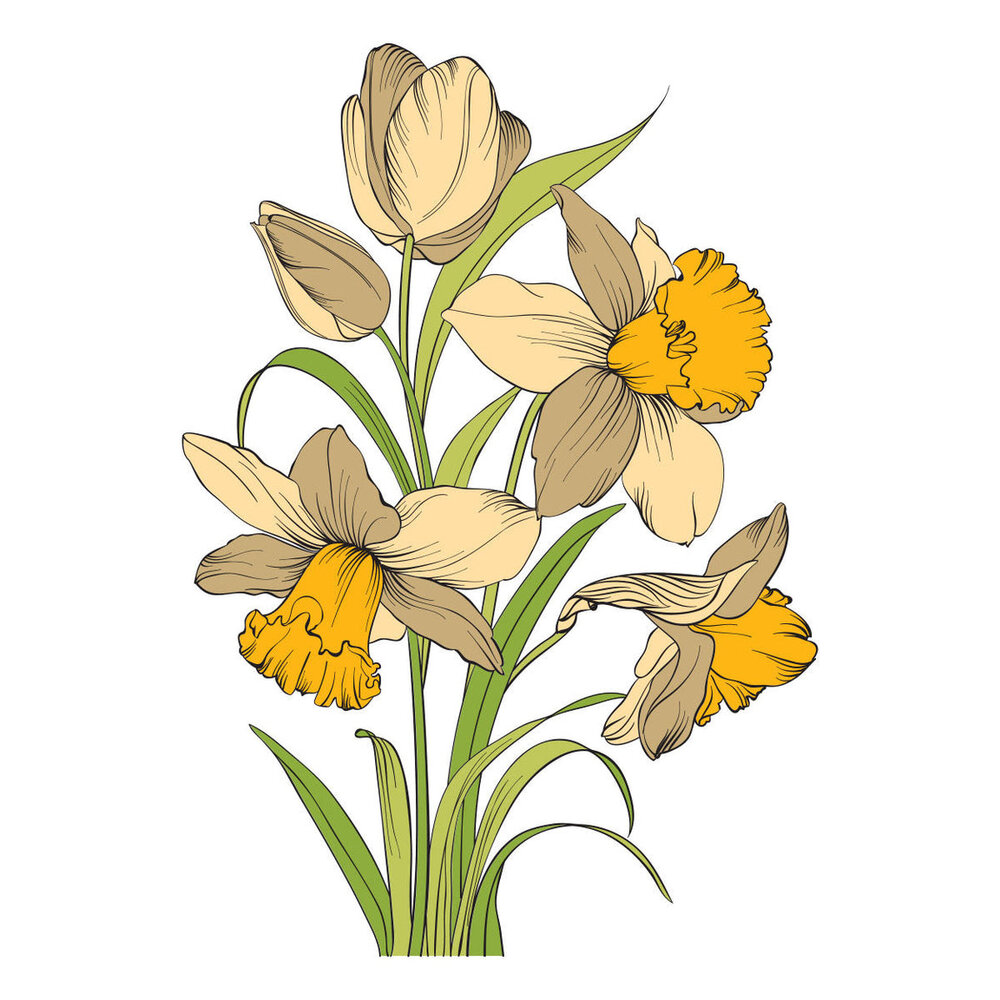 Spellbinders PRE-ORDER Yana's Tulips Tulips and Daffodils BetterPress and Stencil Bundle (BD-1072)