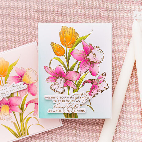 Spellbinders PRE-ORDER Yana's Tulips Tulips and Daffodils BetterPress and Stencil Bundle (BD-1072)