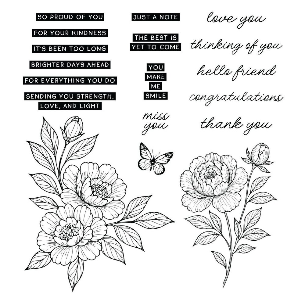 Spellbinders PRE-ORDER Sketched Peonies Stamp and Die Bundle (BD-1074)