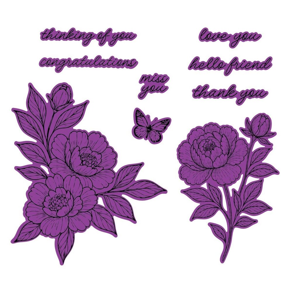 Spellbinders Sketched Peonies Stamp and Die Bundle (BD-1074)