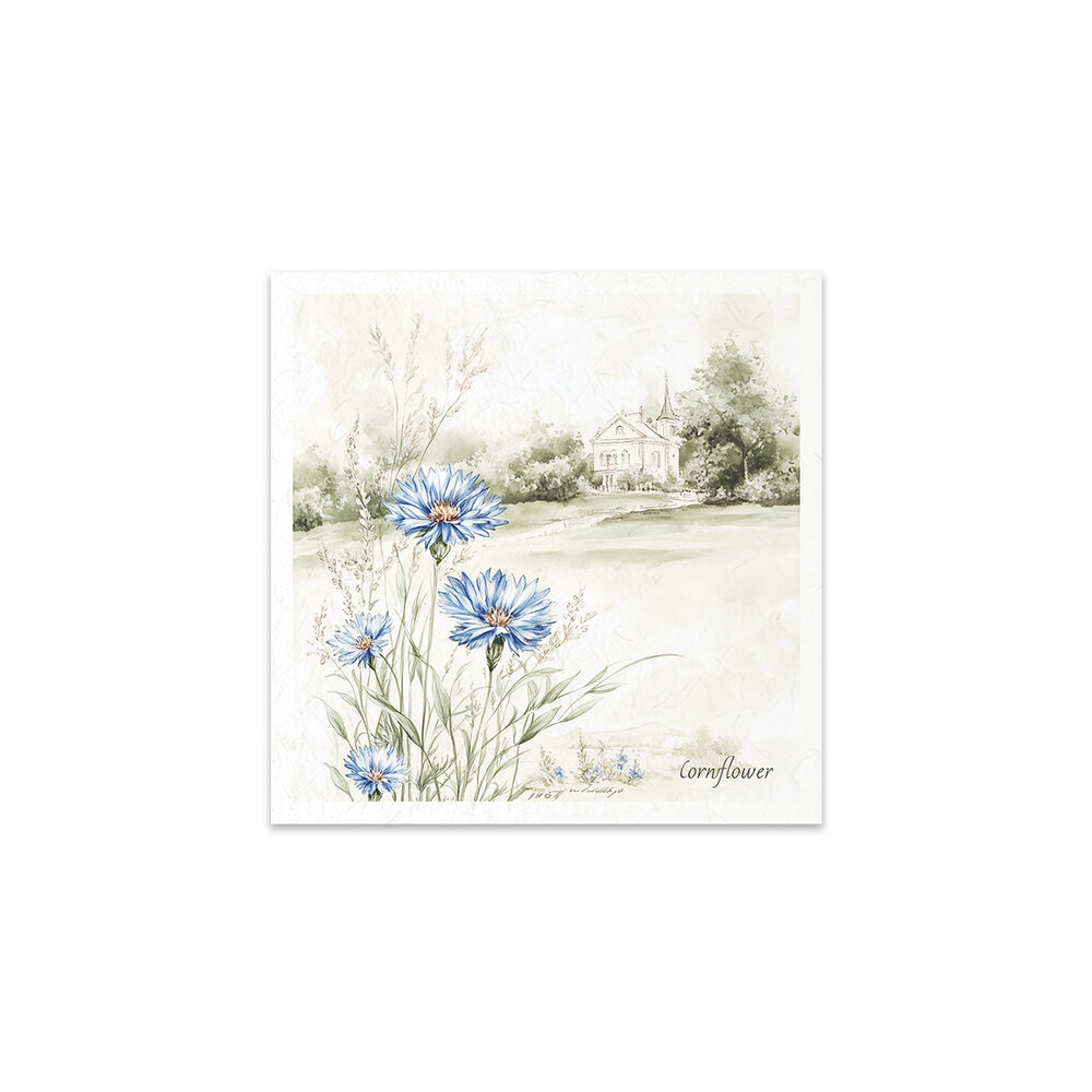 ITD Collection 6x6 Inch Rice Paper Set (RSM 175) ITD Collection 6x6 Inch Rice Paper Set (RSM 175)