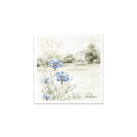 ITD Collection 6x6 Inch Rice Paper Set (RSM 175) ITD Collection 6x6 Inch Rice Paper Set (RSM 175)