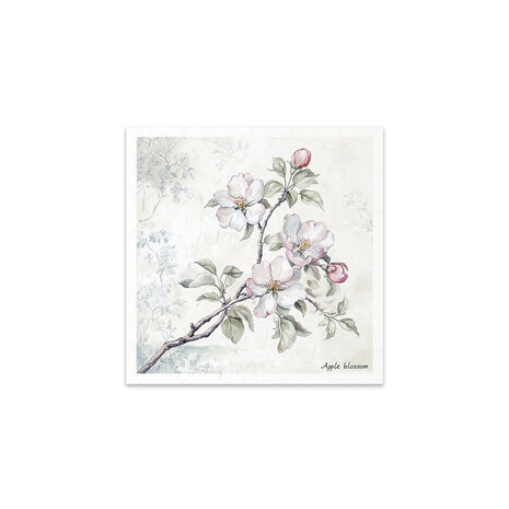 ITD Collection 6x6 Inch Rice Paper Set (RSM 176)