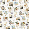 Ciao Bella Papercrafting Eastern Journey A5 Mixed Rice Papers (CBRS038)