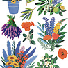 Ciao Bella Papercrafting Riviera Dream A5 Mixed Rice Papers (CBRS040)
