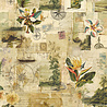 Ciao Bella Papercrafting PRE-ORDER Jungle Vibes A5 Mixed Rice Papers (CBRS041)
