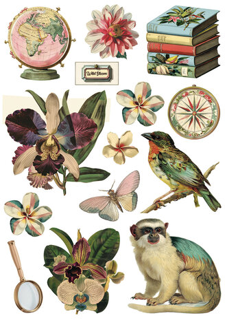 Ciao Bella Papercrafting PRE-ORDER Jungle Vibes A5 Mixed Rice Papers (CBRS041)