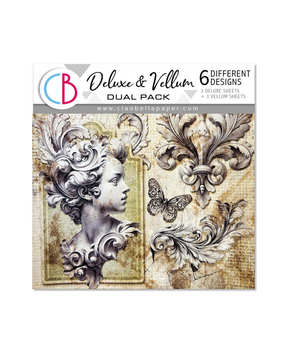 Ciao Bella Papercrafting Typographic 6x6 Inch Deluxe Paper & Vellum Dual Pack (CBXQ008)