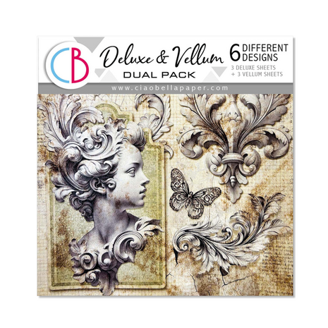 Ciao Bella Papercrafting Typographic 6x6 Inch Deluxe Paper & Vellum Dual Pack (CBXQ008)
