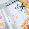 Sizzix Catherine Pooler Clear Stamps Print & Pattern Birthday Sentiments (667111)