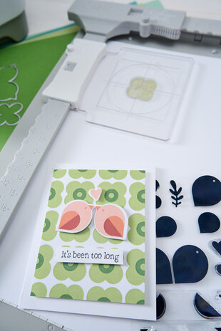 Sizzix PRE-ORDER Catherine Pooler Framelits Die Set Birds & Blooms #2 (667110)