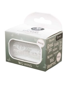 Studio Light Essentials Clear Stickers on Roll Big Wins (SL-ES-STIC78)